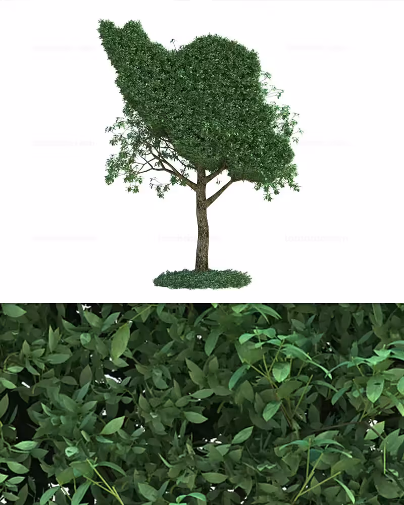 عکس نقشه ایران با کیفیت بالا | گرافیک با طعم تربچه