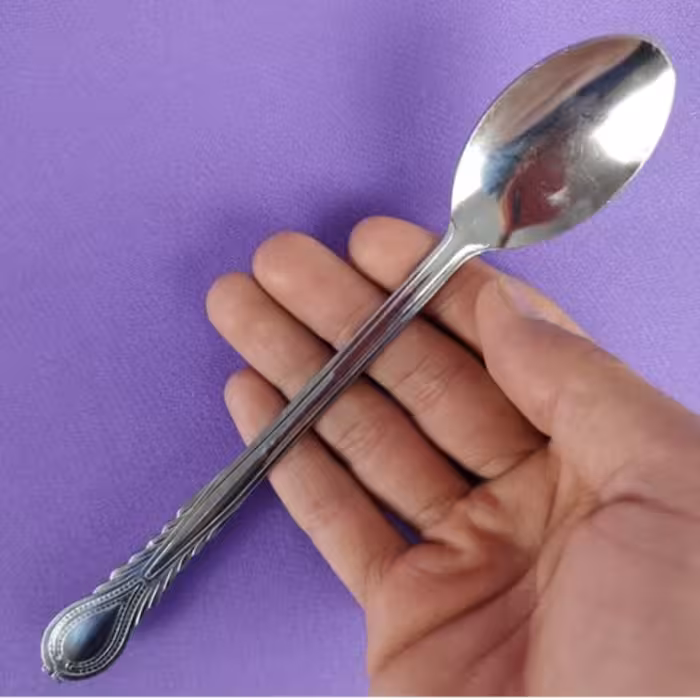 قاشق شربت استیل وکیوم مدل دلی بسته 12 عددی