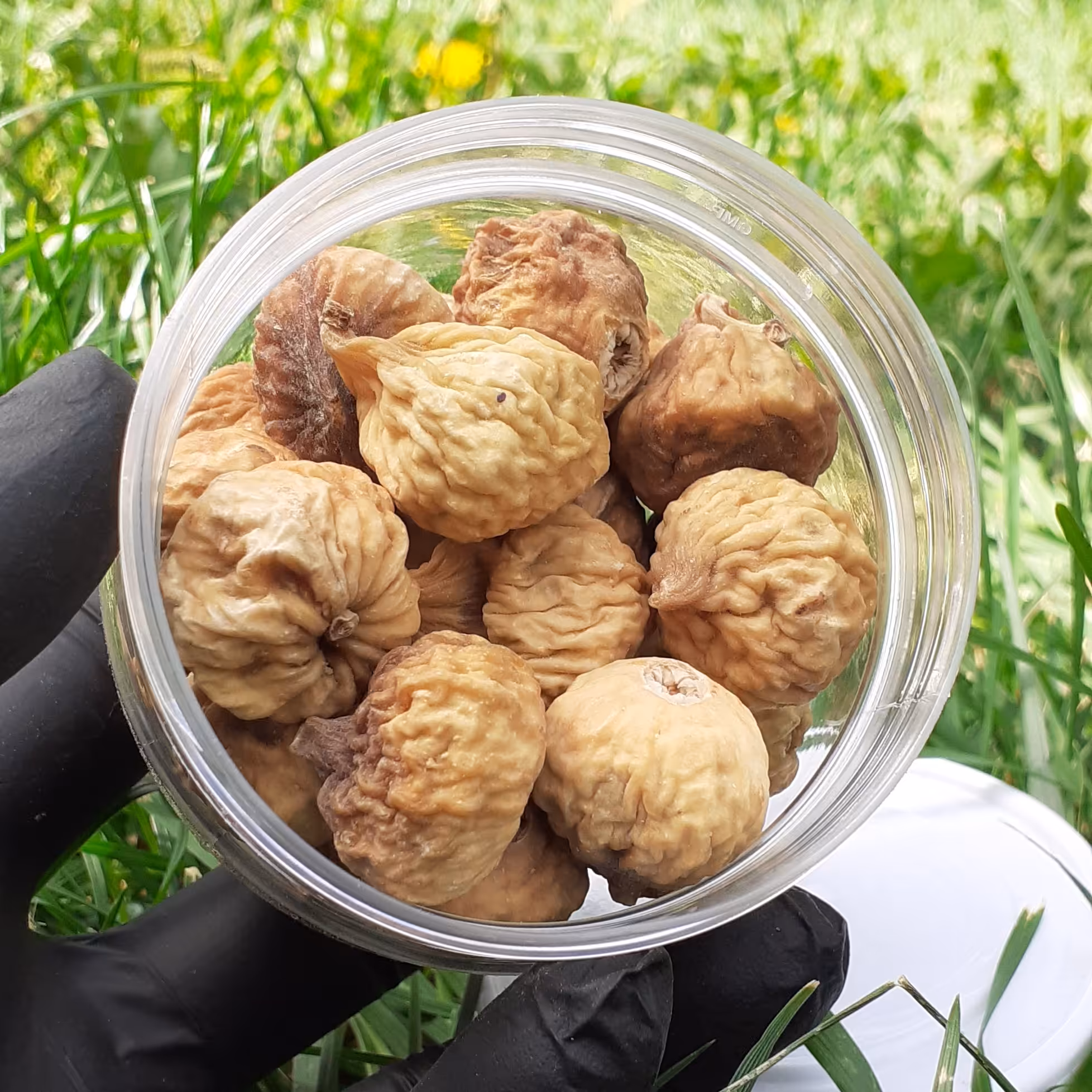 انجیر درشت 150 گرم 