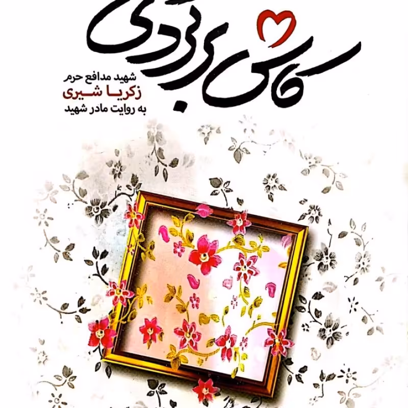 کاش برگردی