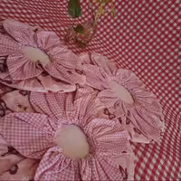 دمکنی شش پر