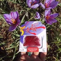 زعفران نگین امسالی جوانمرد در بسته یک گرمی پاکتی مقوایی