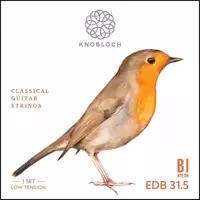 سیم گیتار نابلوخ مدل EDB31.5 