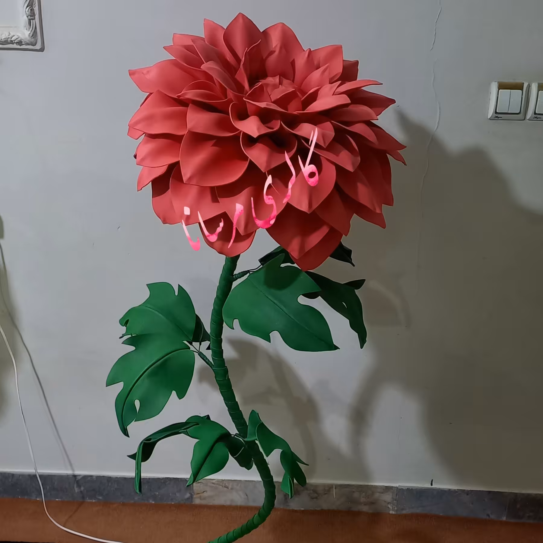 گل کوکب قرمز  آباژوری با ارتفاع 140سانت با قطر 50سانت قابل اجرا در رنگ بندی های مختلف