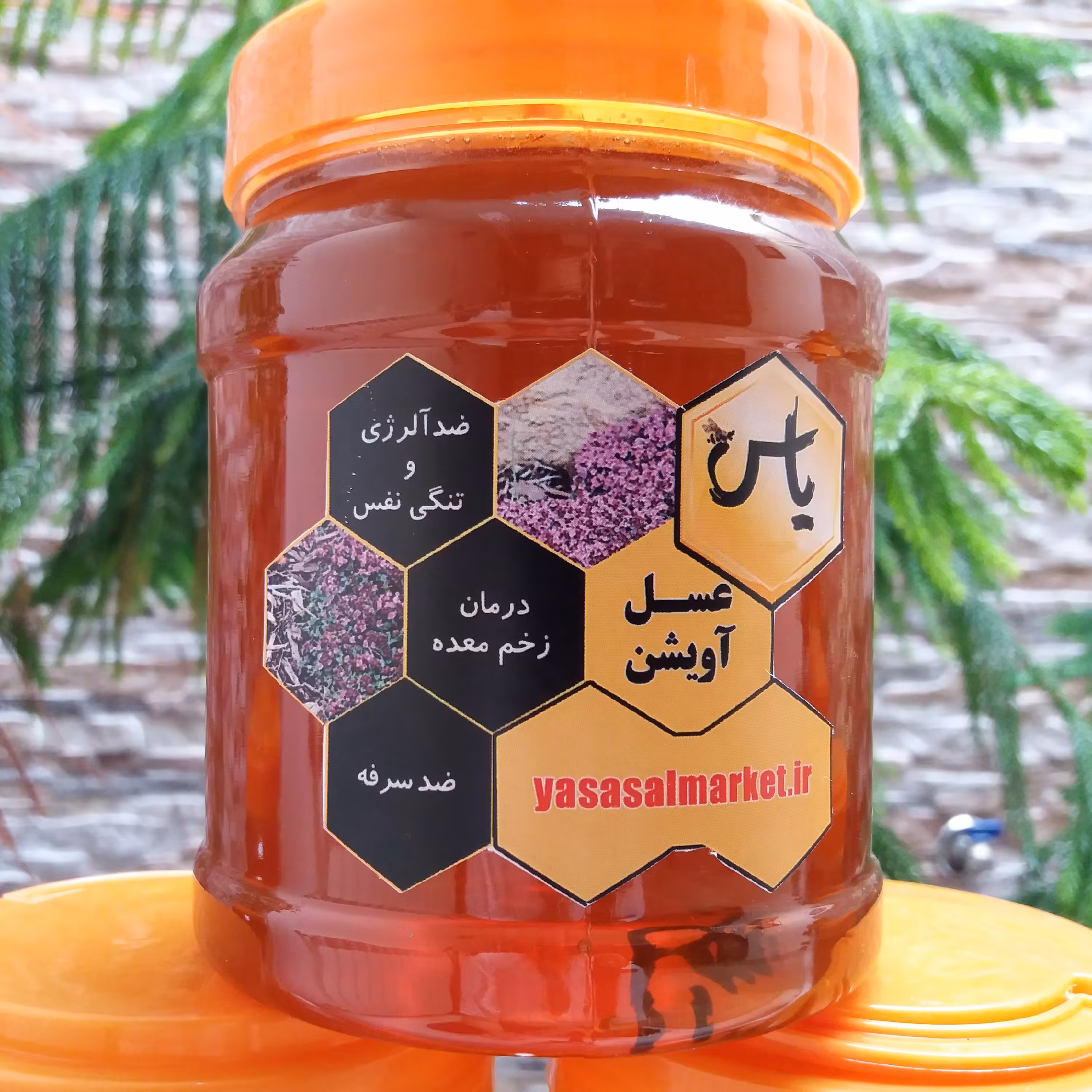 عسل آویشن طبیعی یک کیلویی