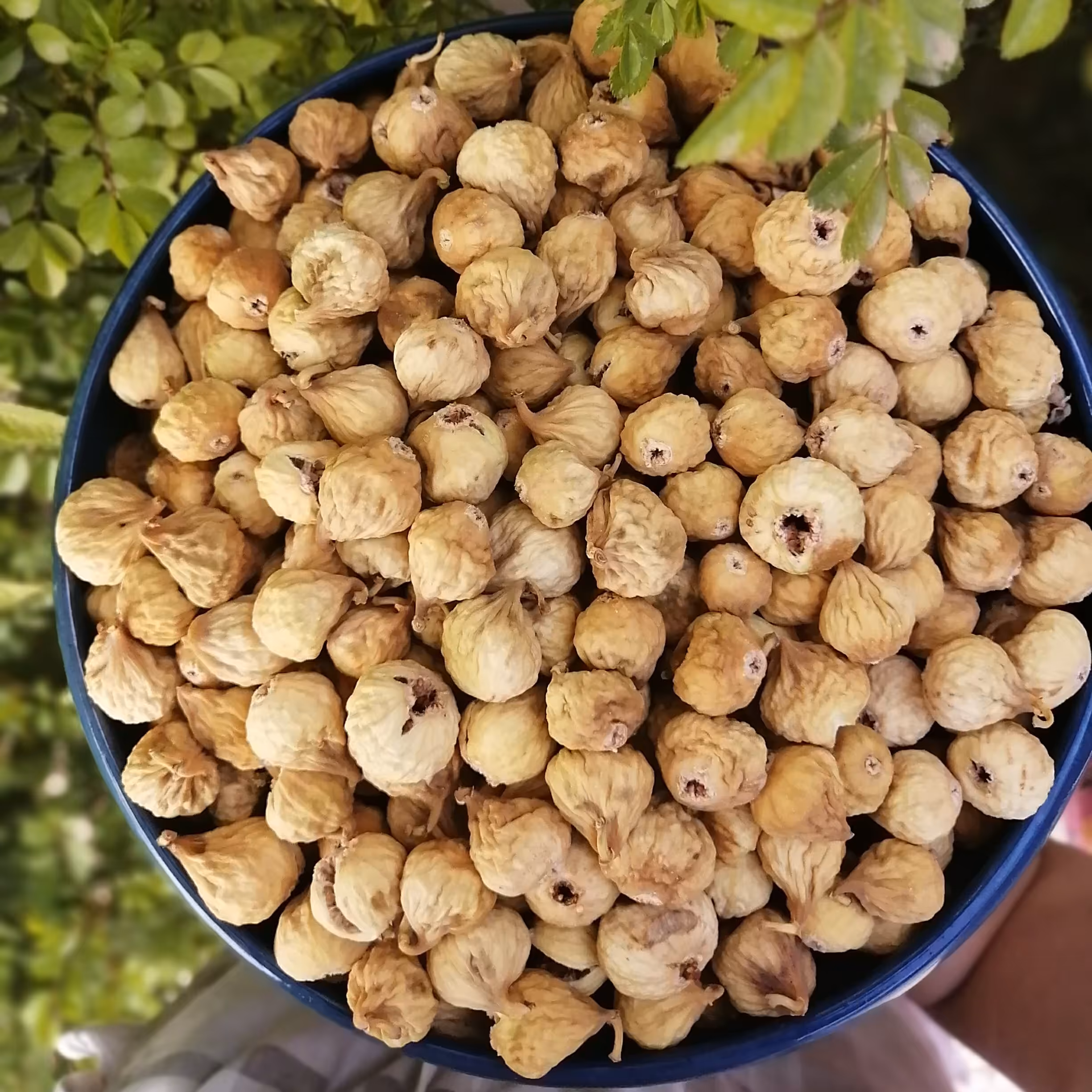 انجیر خشک استهبان سایز درشت با طعم ومزه عالی با قیمت مناسب  قیمت داده شده را باقیمت همین انجیر در شهر خودتان مقایسه کنید