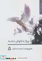 قیمت و خرید کتاب پرواز با بالهای شکسته | ایده بوک