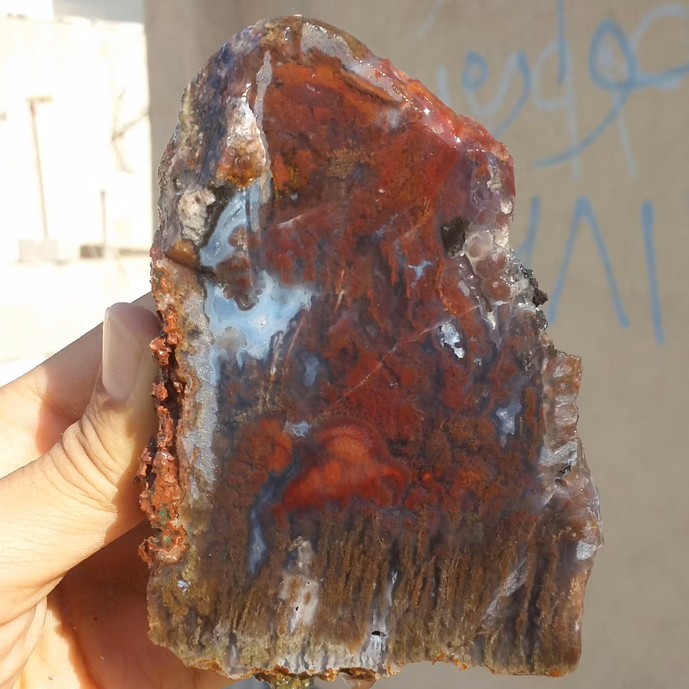 اسلایس سنگ راف عقیق شجر منظره درشت کمیاب
 صددرصد طبیعی شاهکار خلقت
تابلو نقاشی طبیعی
با قابلیت ساخت چندین نگین 
کد10847