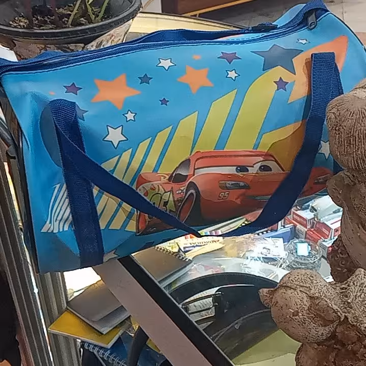 ساک ورزشی مک کویین