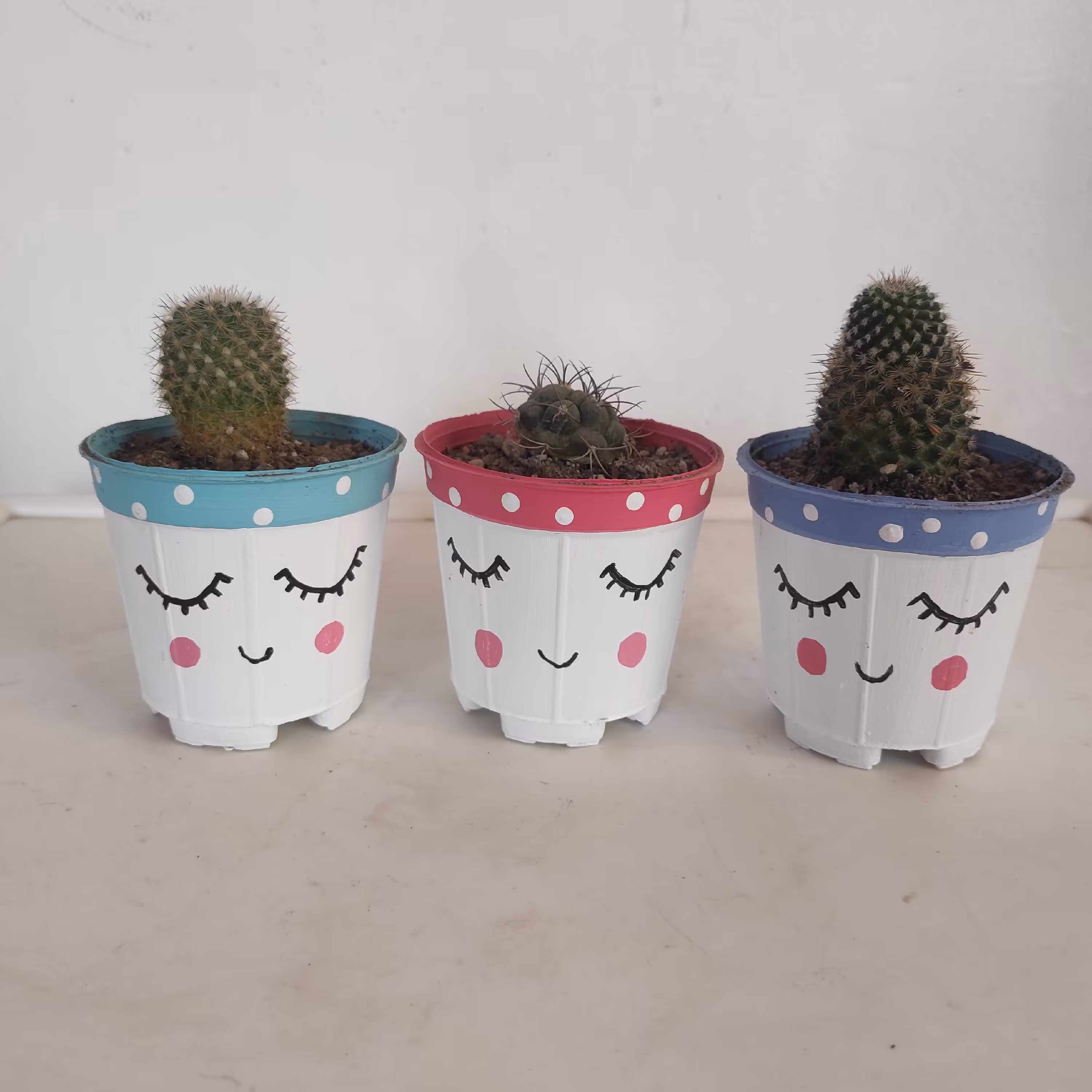 گلدون فانتزی سه عددی همراه با کاکتوس