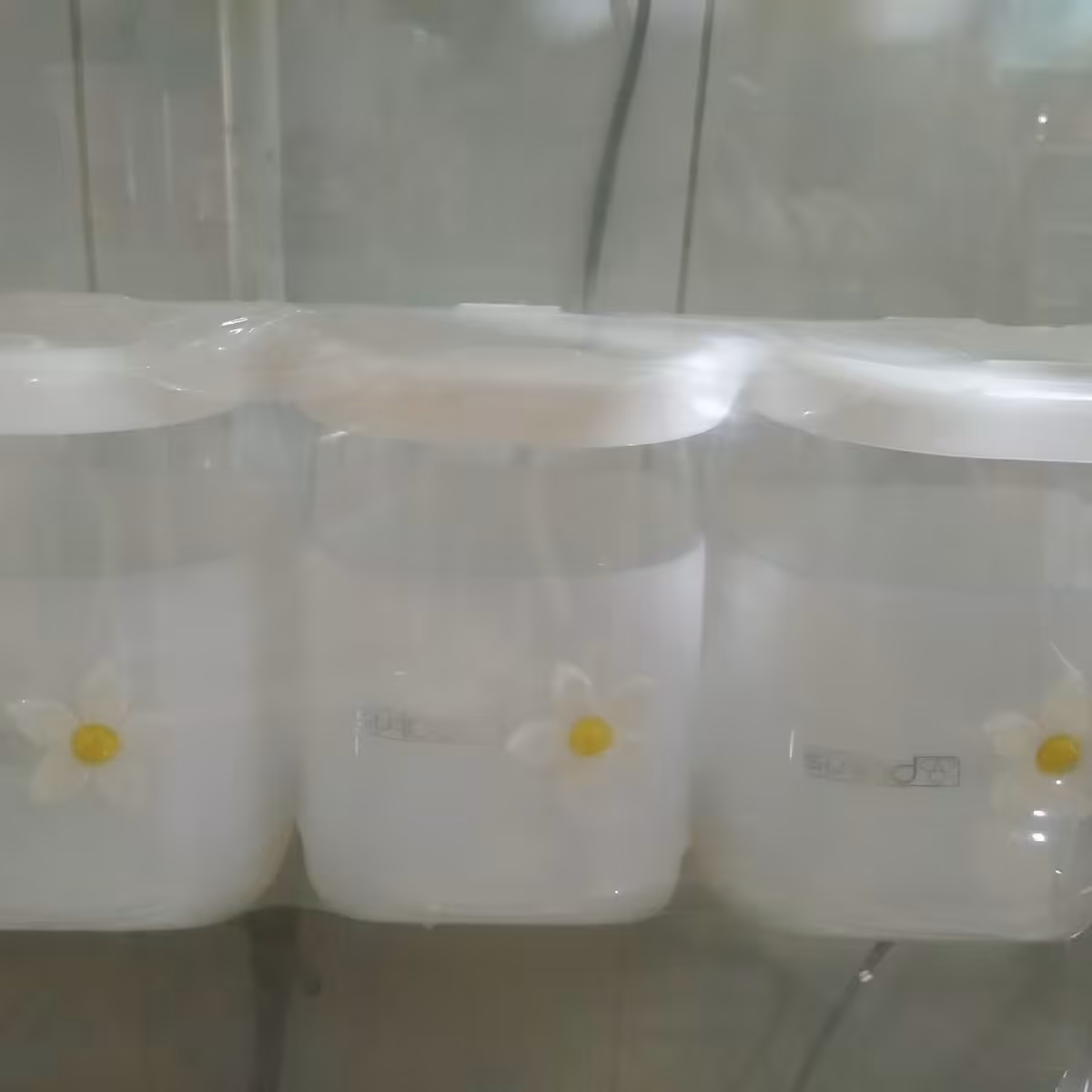 جا حبوبات سه تیکه (پاسماوری)