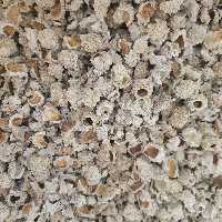 شکر تیغال 50 گرم 