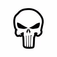 استیکر لپ تاپ طرح Punisher Marvel کد STL1014