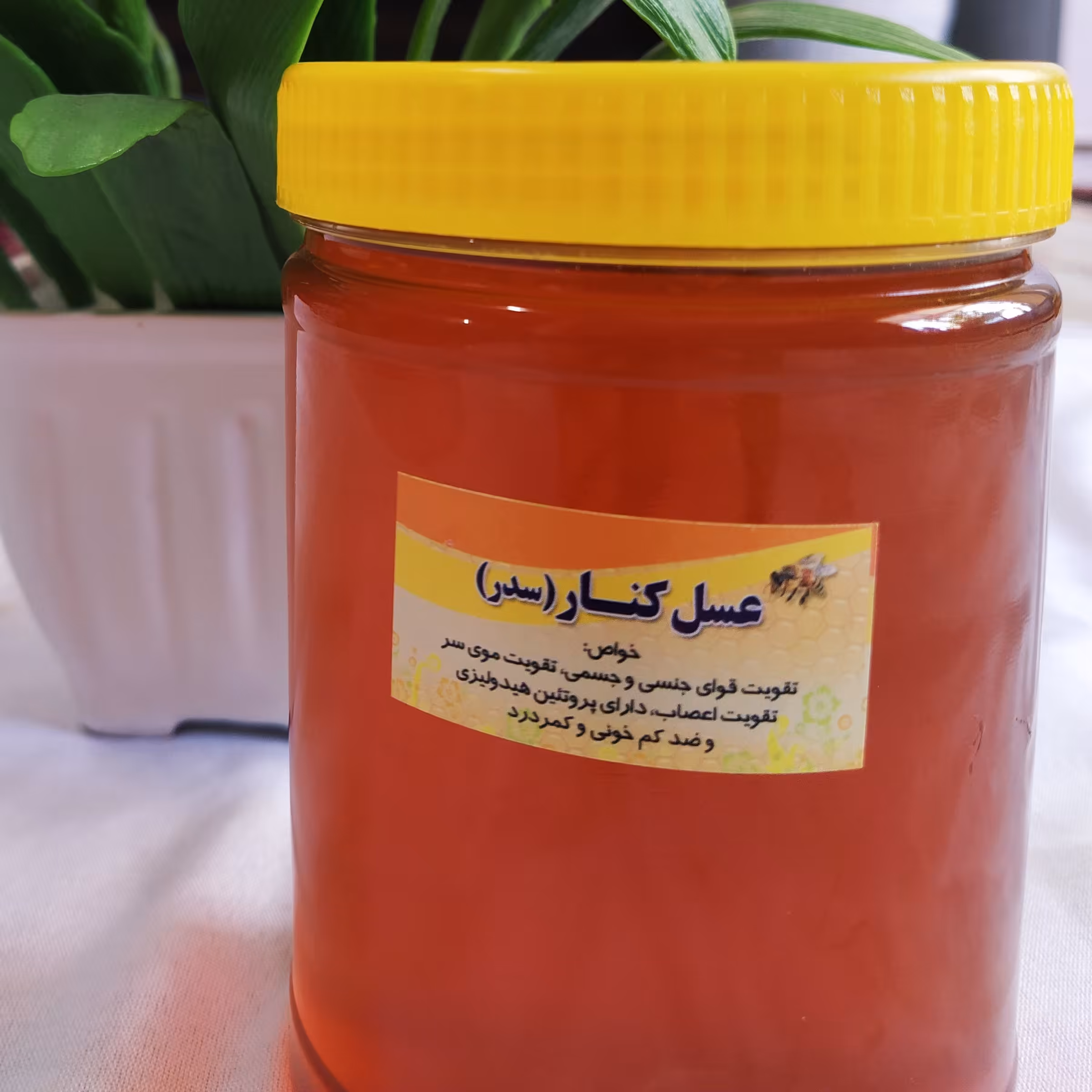 عسل کنار اصل