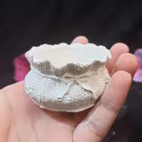 بیس خام شمعدان طرح سبد مناسب وارمر 