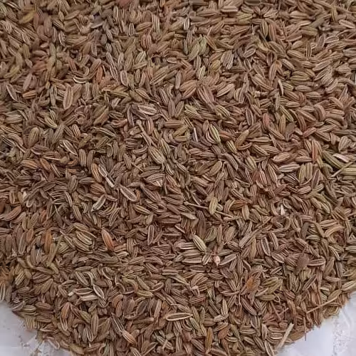 رازیانه پودر نشده