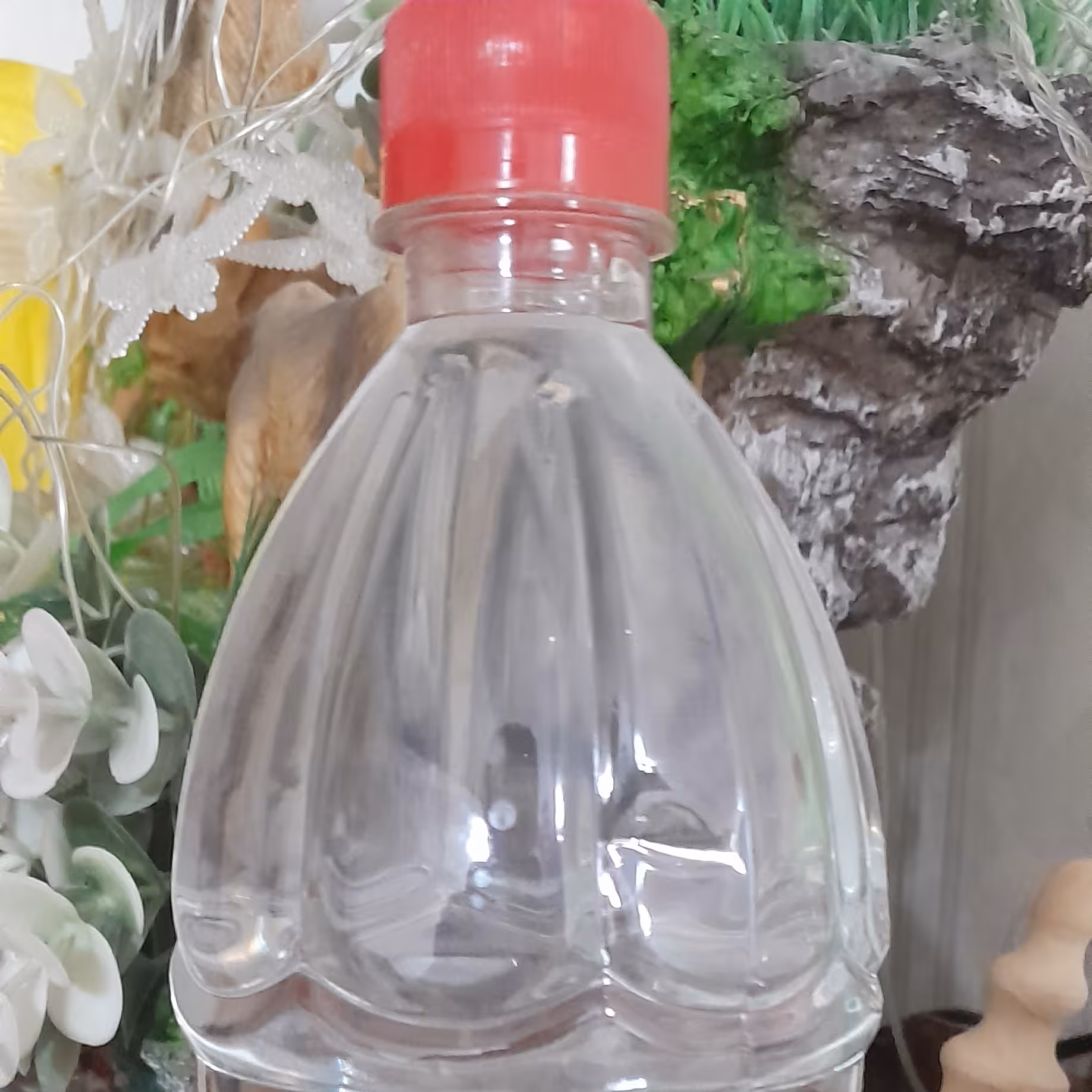 گلاب دو آتیشه کاشان 