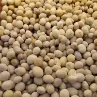 بادام زمینی سرکه ای (1 کیلوگرمی )آجیل و خشکبار شفا 