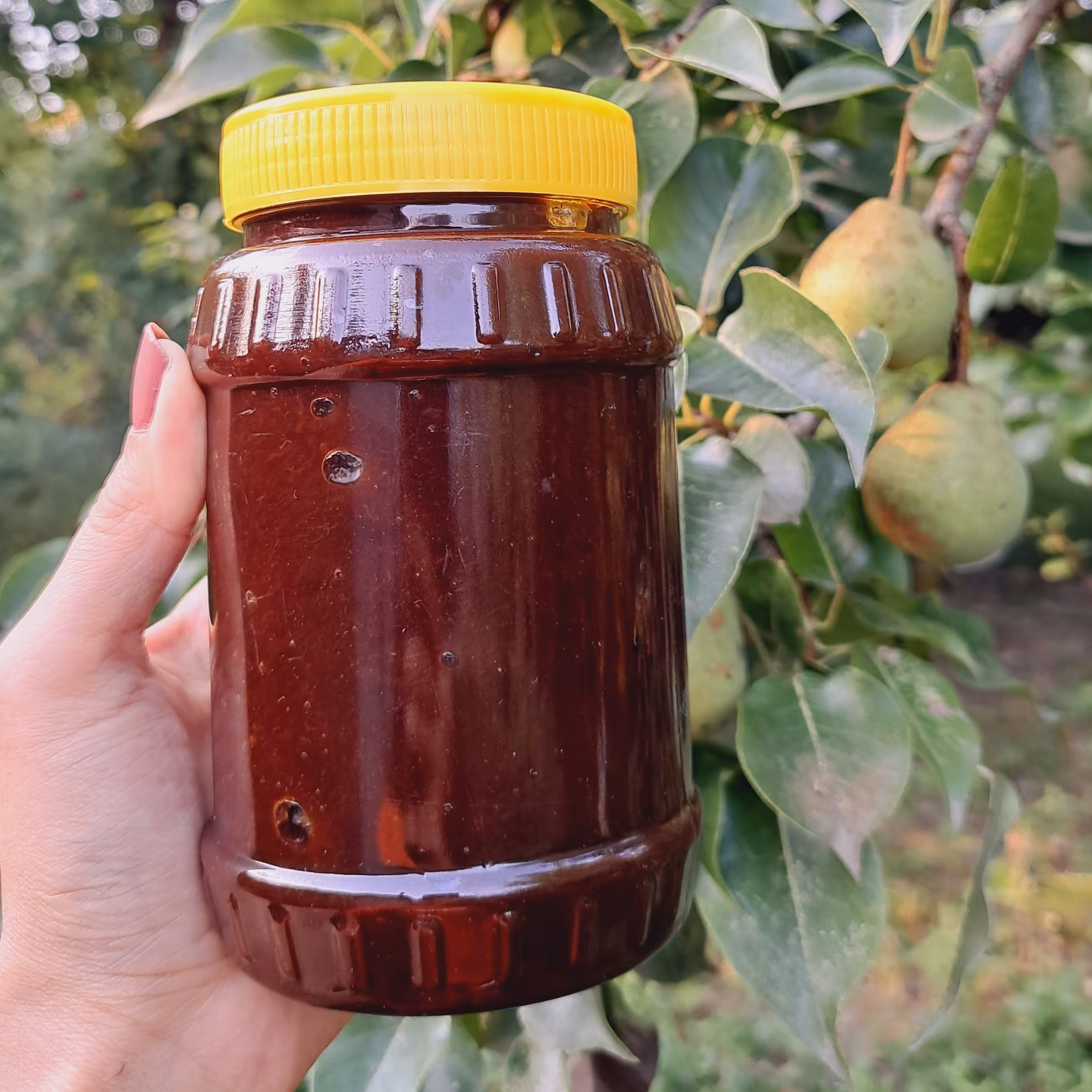 رب آلوچه ملس خونگی ارگانیک