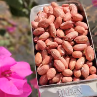 بادام زمینی نمکی 250 گرمی 