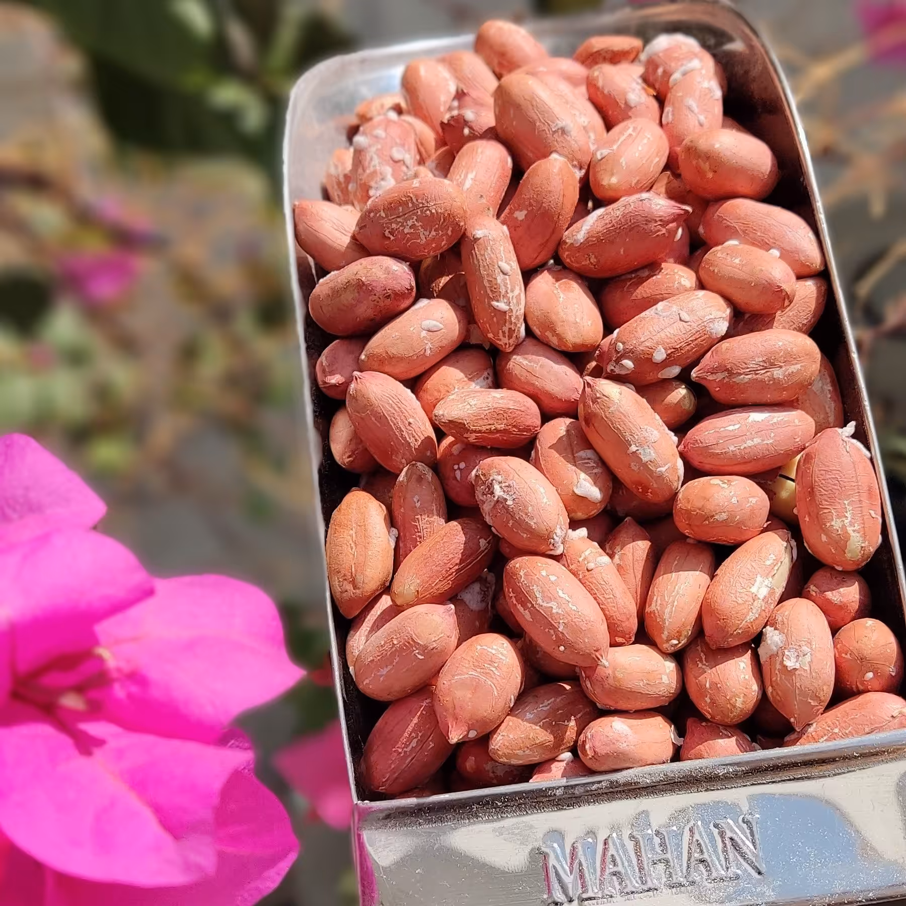 بادام زمینی نمکی 250 گرمی 