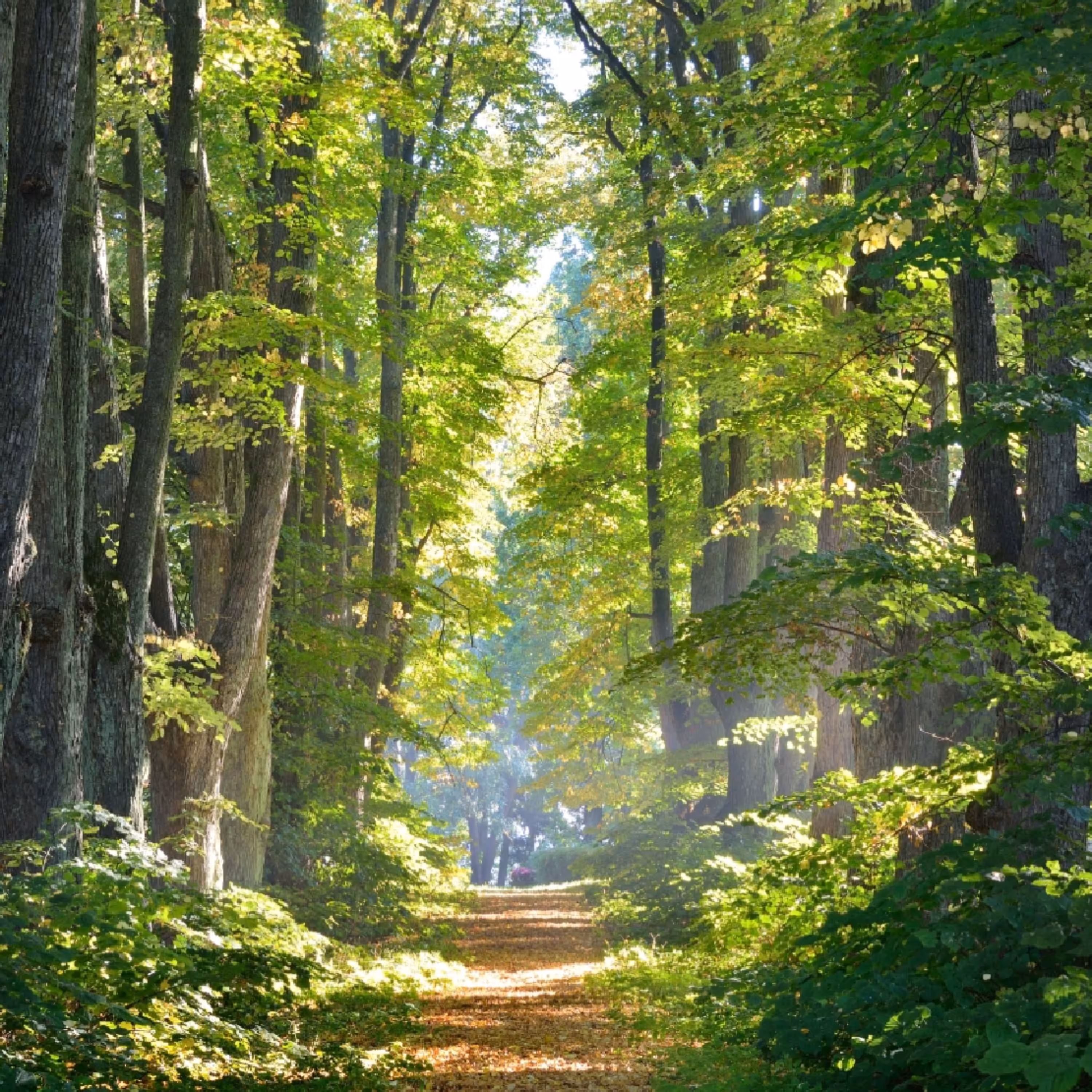 تابلوی گرمایشی برقی