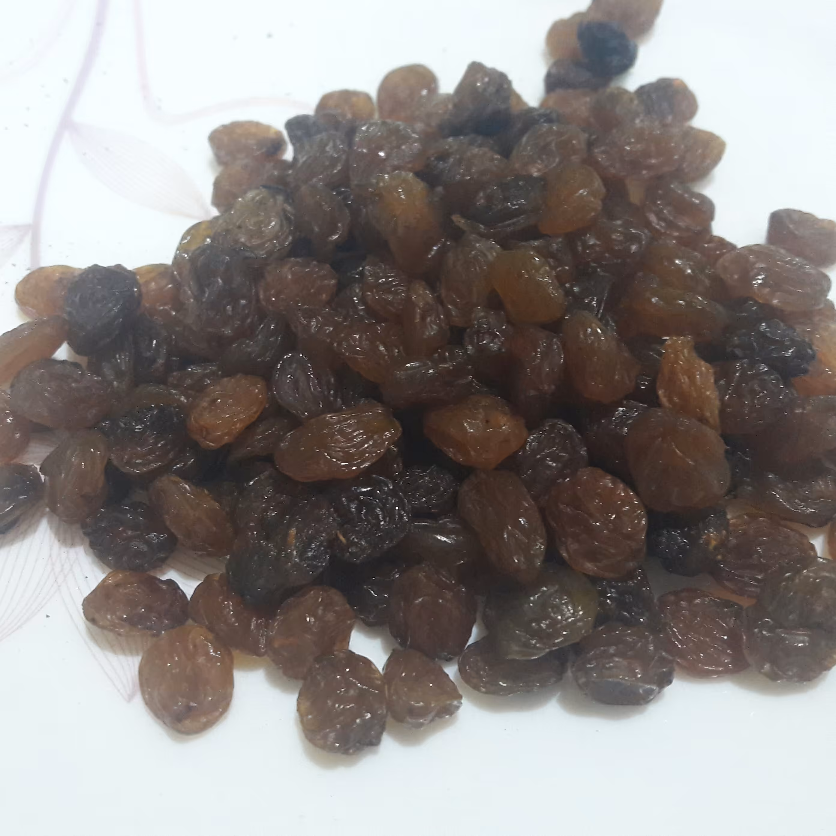 کشمش بی دانه درجه یک  افتابی ارگانیک و خوش طمع و گوشتی مناسب برای پلو و چای به قیمت کارخانه(8500gr)