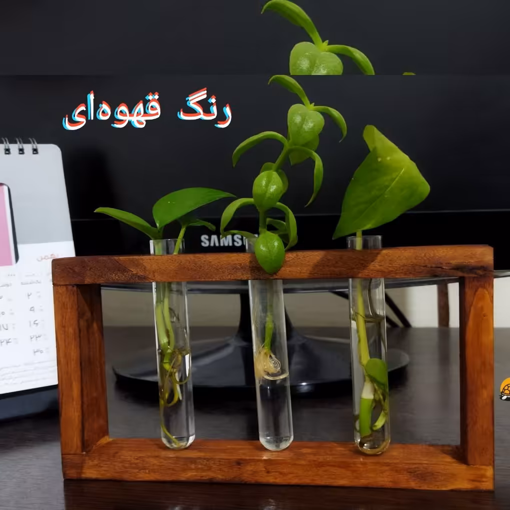گلدان چوبی شیشه ای