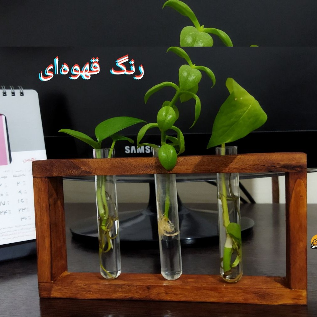 گلدان چوبی شیشه ای