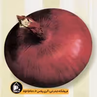بذر پیاز قرمز آذرشهر پاسارگاد