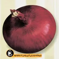 بذر پیاز قرمز آذرشهر پاسارگاد