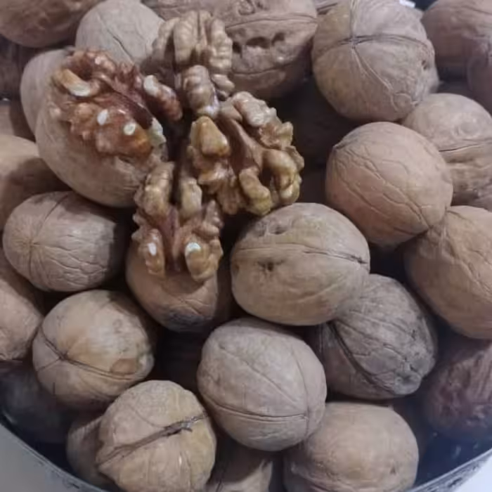 گردو پوست کاغذی بلغاری 