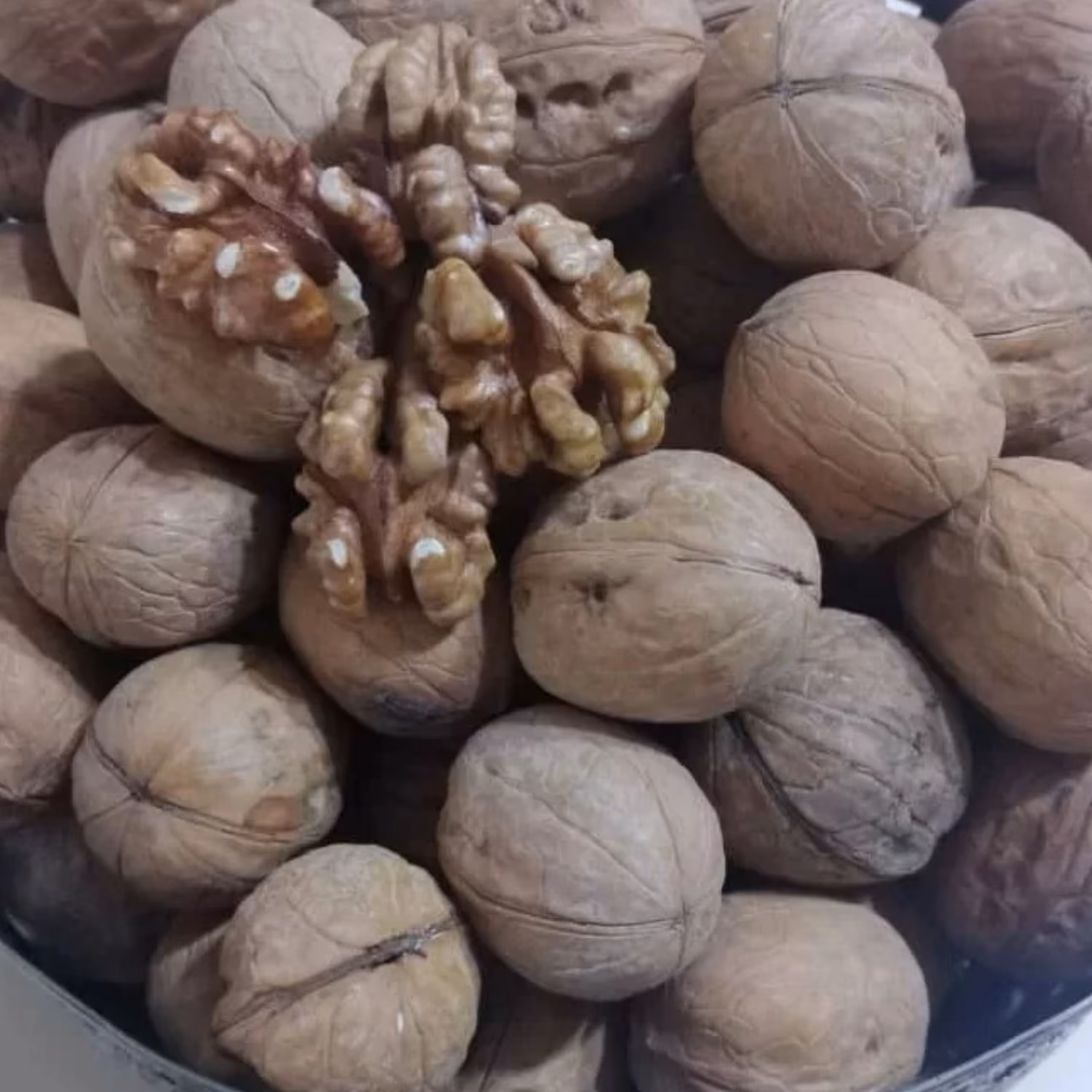 گردو پوست کاغذی بلغاری 