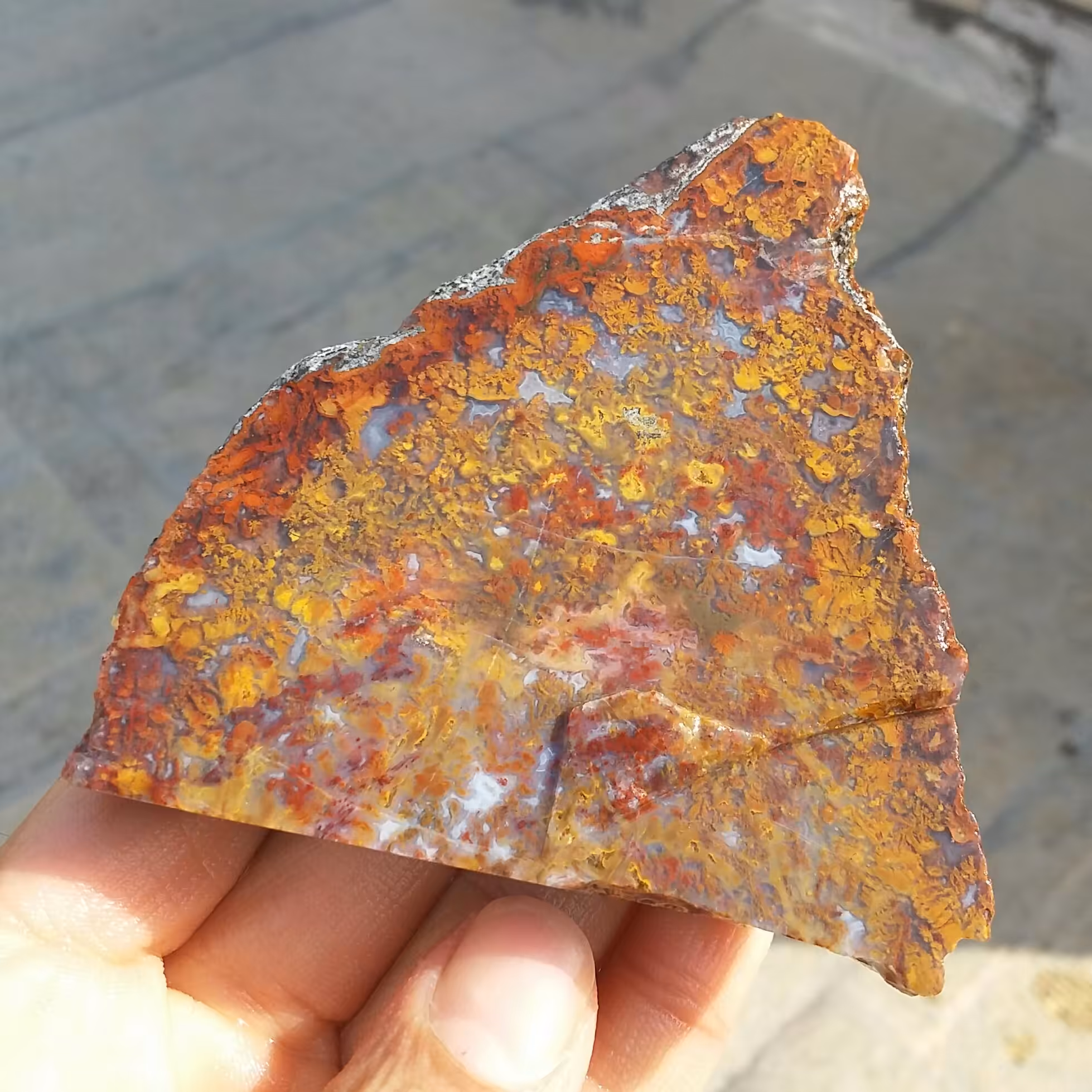 اسلایس سنگ راف عقیق شجر منظره هفت رنگ دو طرفه بسیار زیبا و خاص 100 در 100 طبیعی  شاهکار خلقت
کد 12099