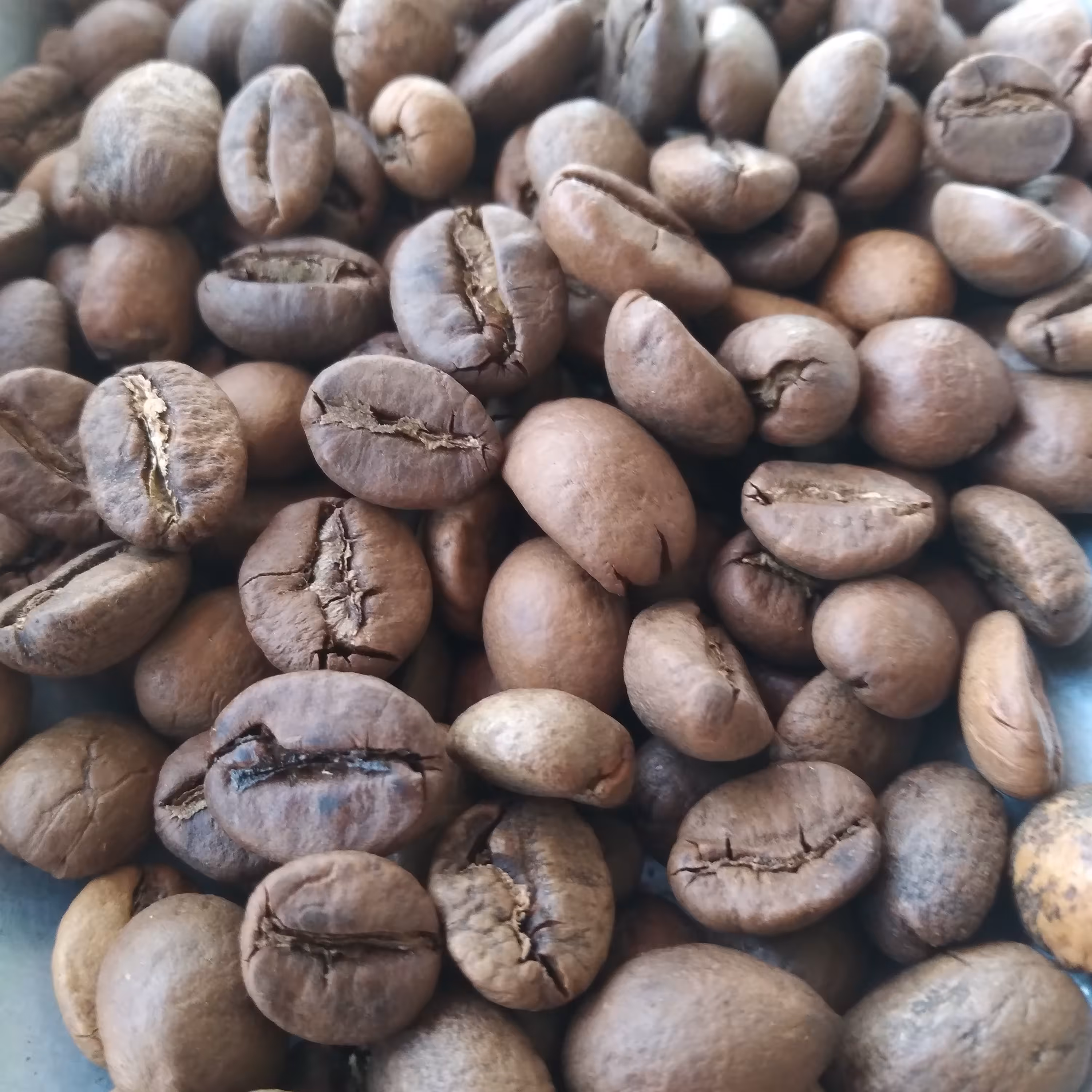 میکس قهوه عربیکا 50 روبوستا 50 (1کیلوگرم)