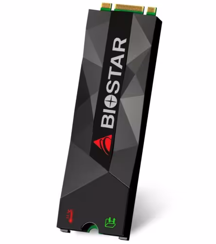 حافظه اس اس دی بایوستار مدل ام 500 با ظرفیت 1 ترابایت