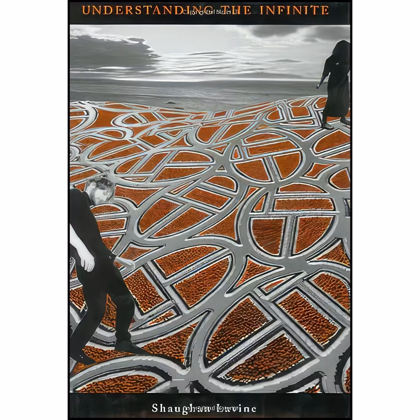 کتاب زبان اصلی Understanding the Infinite اثر Shaughan Lavine