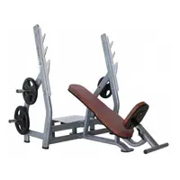 میز پرس بالا سینه اینپارس INPARS PV4009