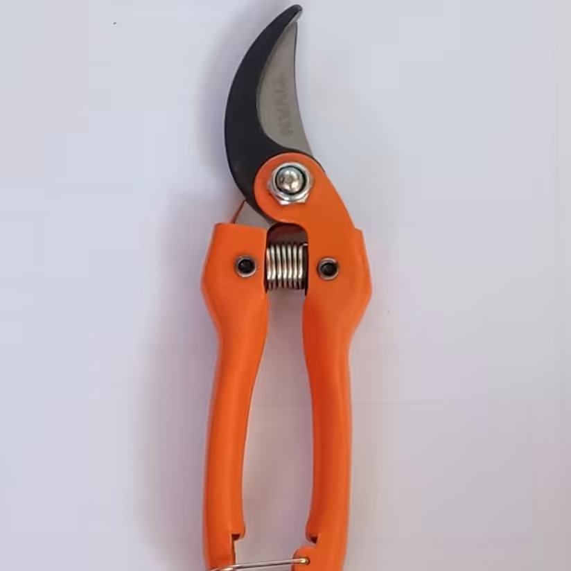 قیچی باغبانی تیوان