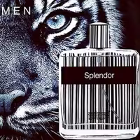 عطر مردانه اسپلندور بلک (1گرم)
