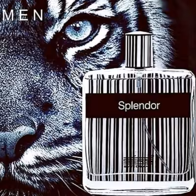عطر مردانه اسپلندور بلک (1گرم)