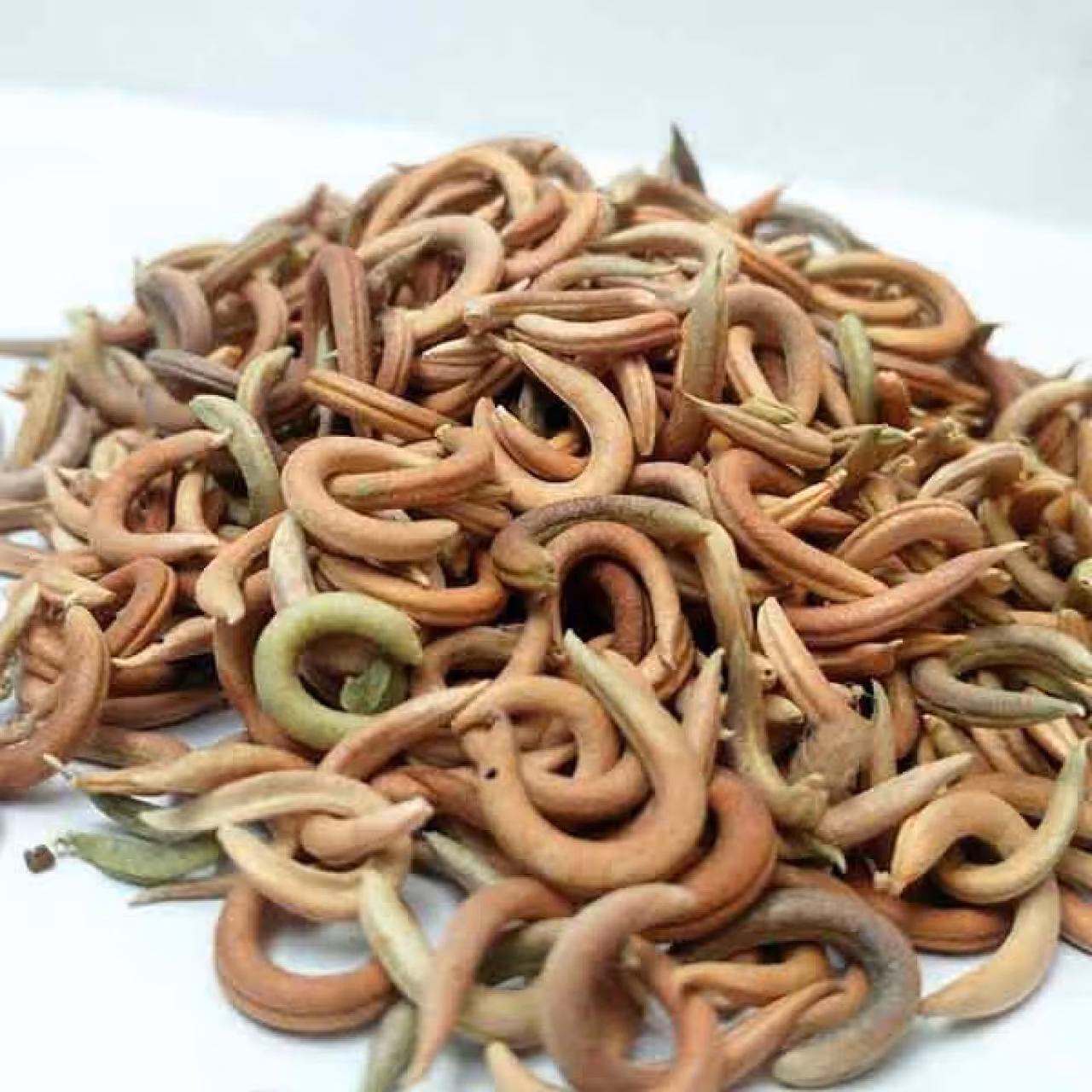 گیاه ناخنک 60 گرمی (خشک شده)