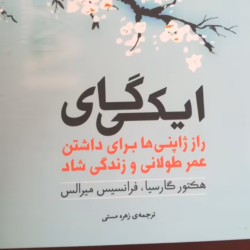 کتاب ایکی گای 
