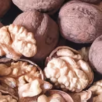 گردوی کاغذی  درجه یک و ابخورده و چرب محصولات خانگی و درجه یک شیوا