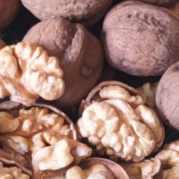 گردوی کاغذی  درجه یک و ابخورده و چرب محصولات خانگی و درجه یک شیوا