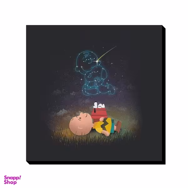 تابلو شاسی ترمه طراحان ایده مدل چارلی براون و اسنوپی کد CFP1068