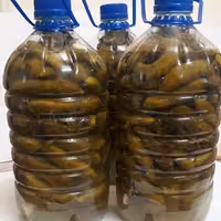 خیارشور محلی با خیار ویژه سراب با طعم مخصوص