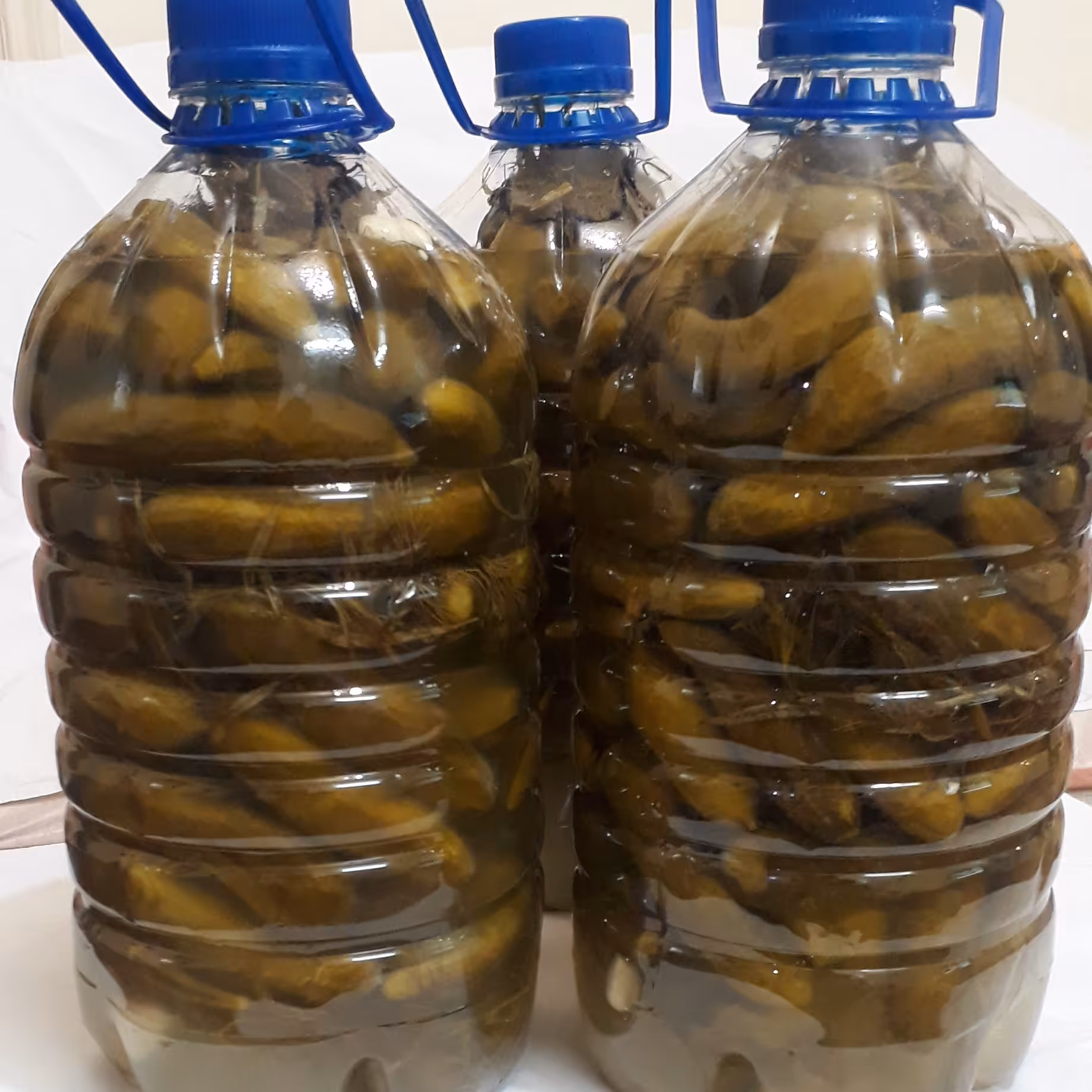 خیارشور محلی با خیار ویژه سراب با طعم مخصوص