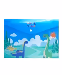 پوشه دکمه دار طلقی فانتزی سایز A4  (12عددی)