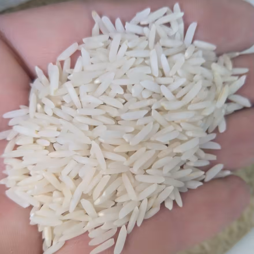 برنج طارم فجر